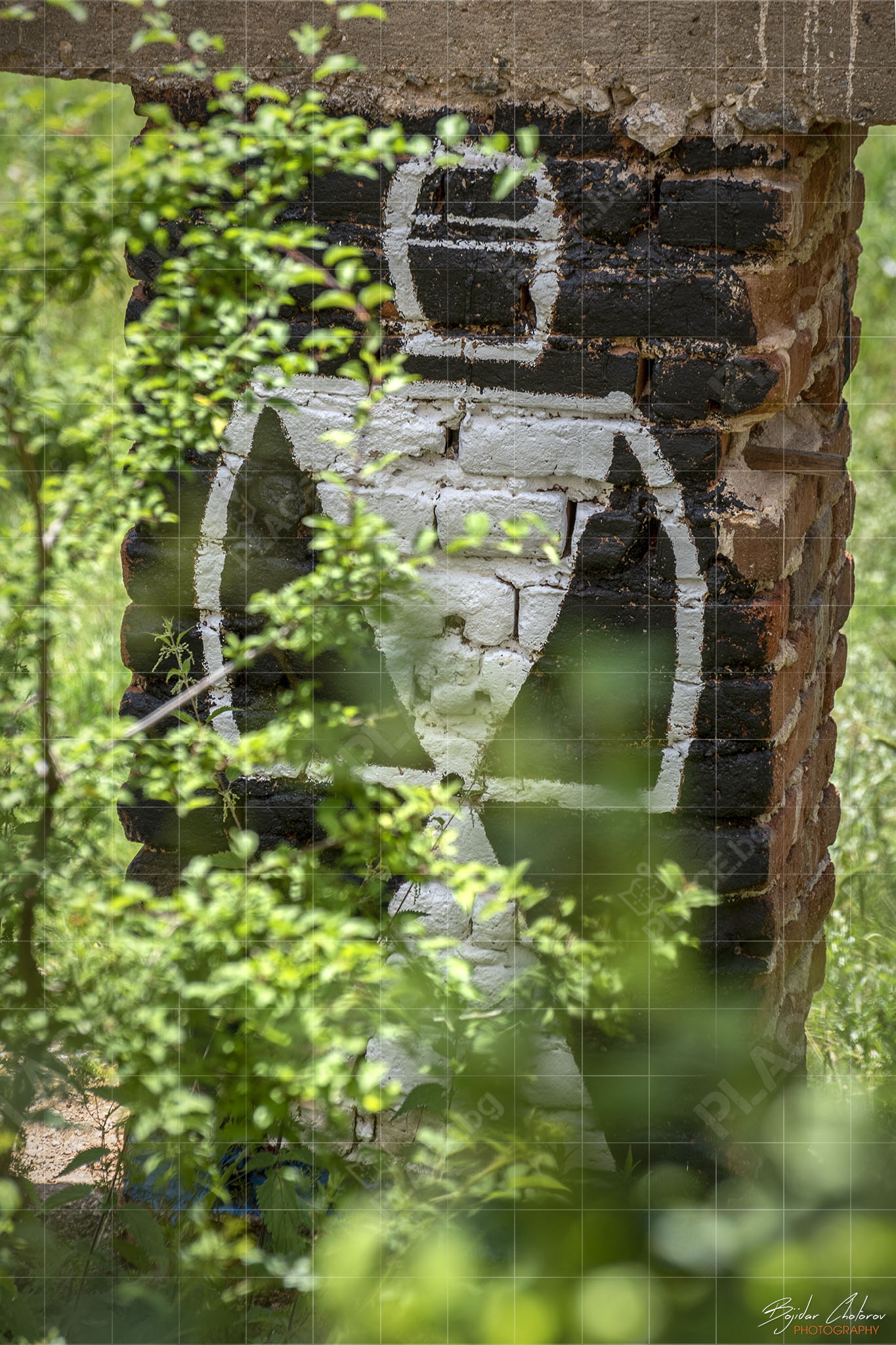 The Rural Murals Project – Gallery One (BCH_1692)