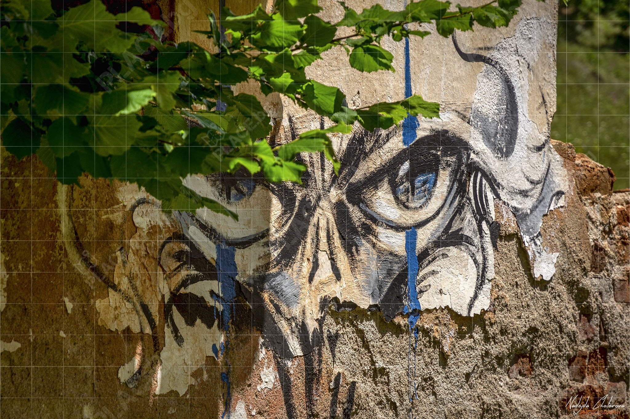 The Rural Murals Project – Gallery One, село Любница (NCH_6621)