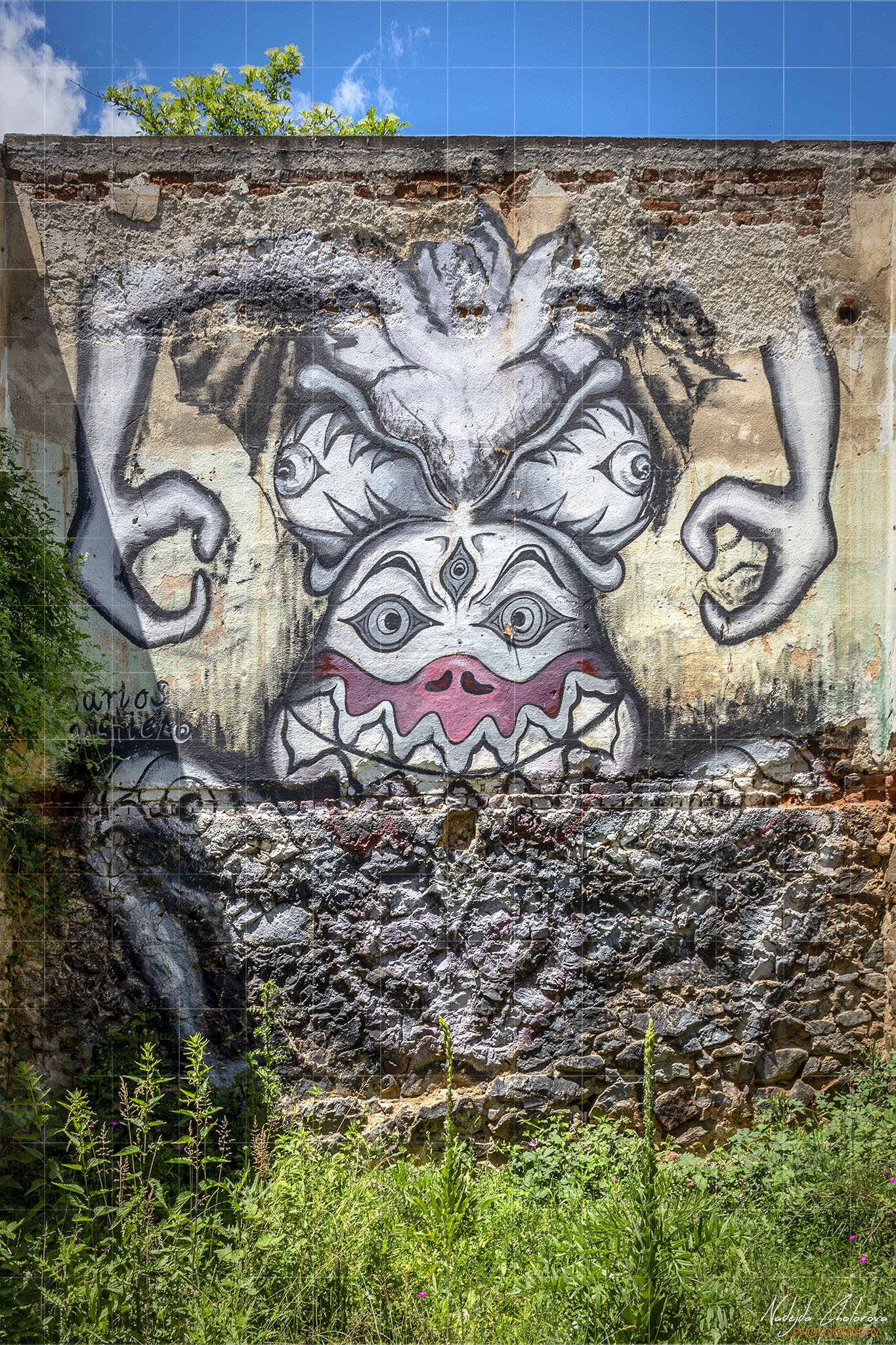 The Rural Murals Gallery One, село Любница (NCH_6628)