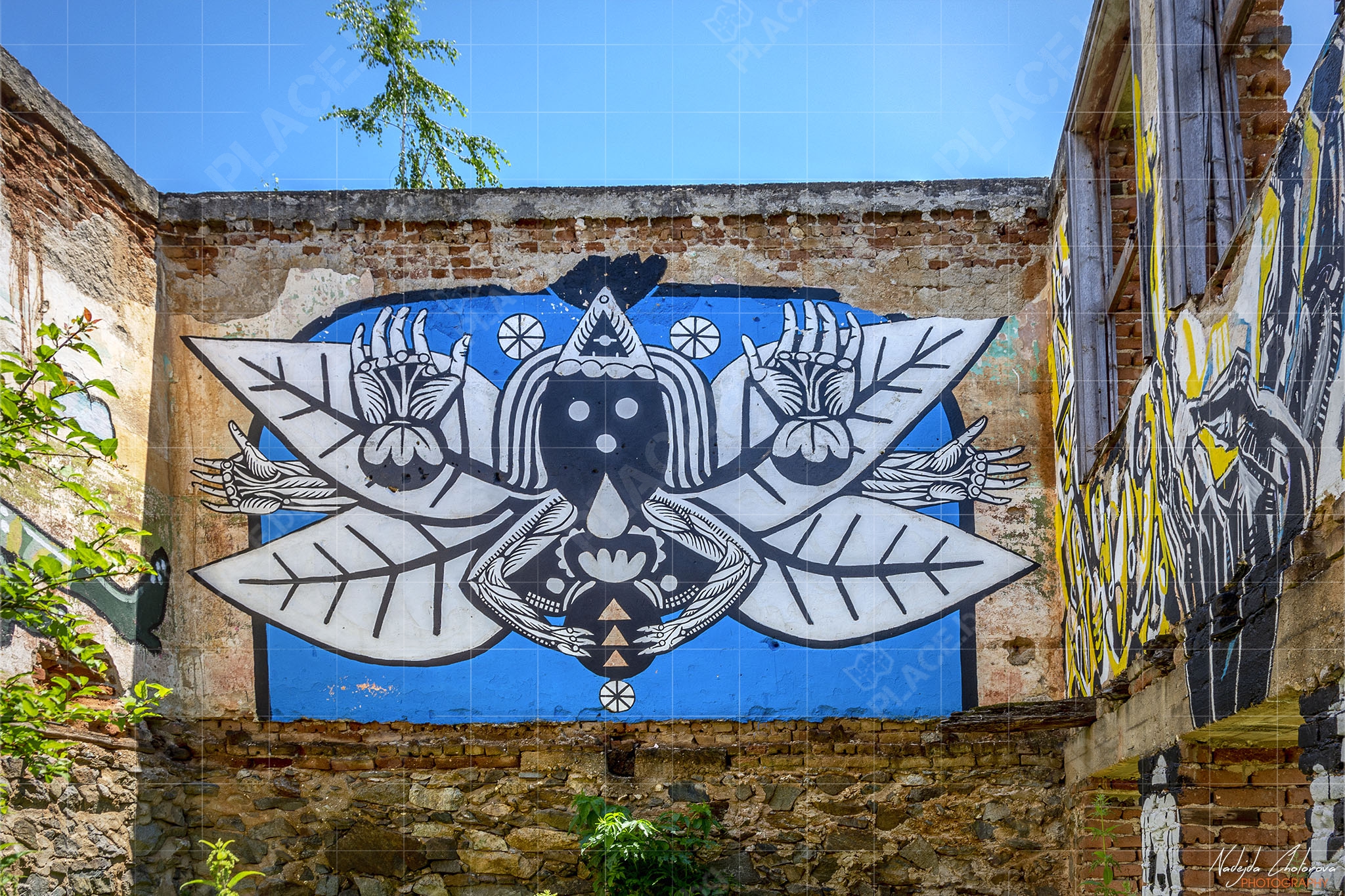 The Rural Murals Gallery One, село Любница (NCH_6634)