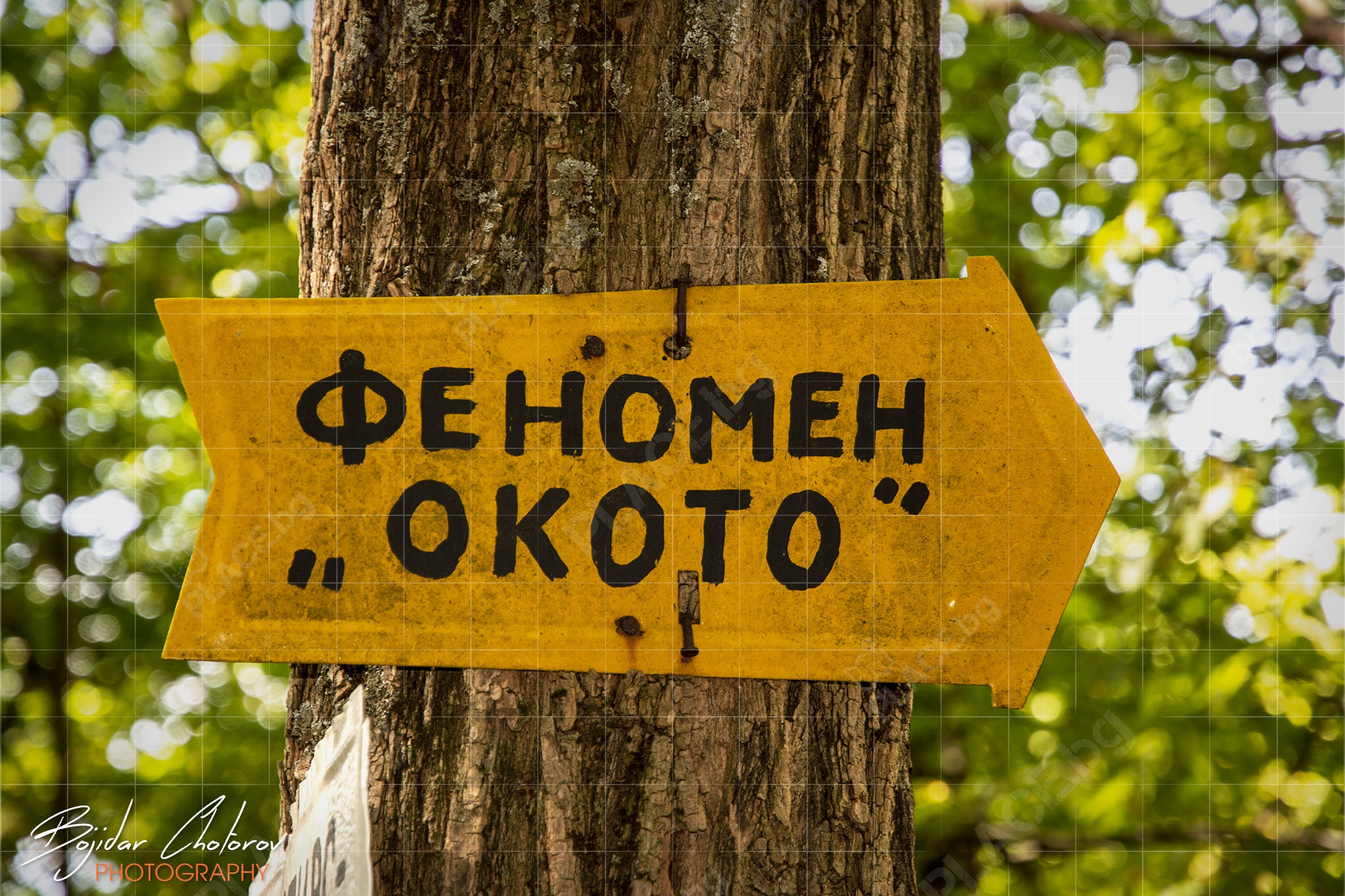 Okоto_na_osmar_DSC2350