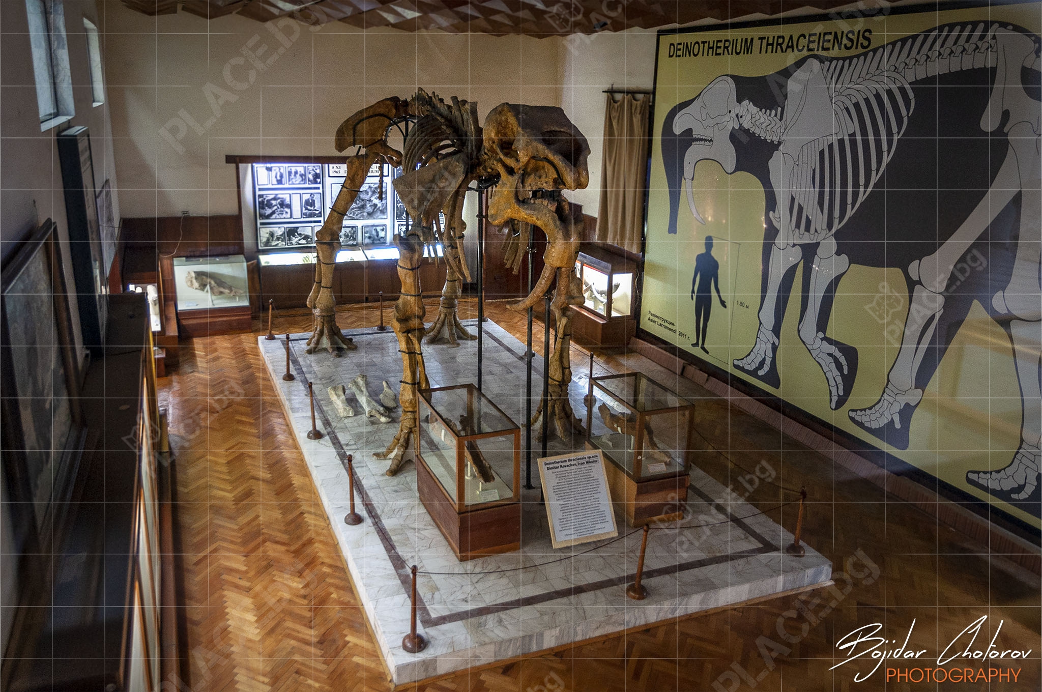 Paleontologichen_muzei_DSC8420