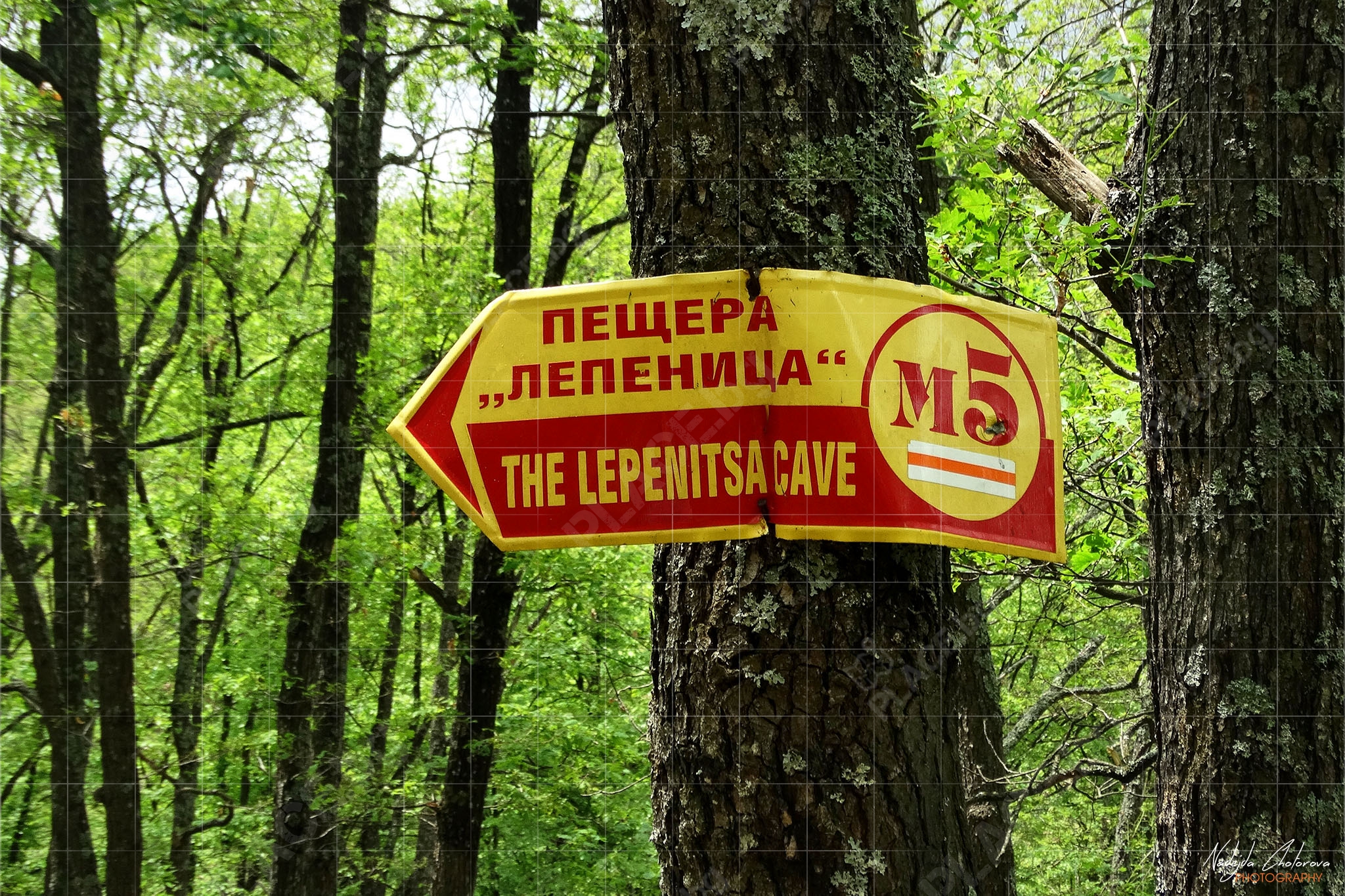 Указателна табела по пътеката за пещера Лепеница (DSC07901)