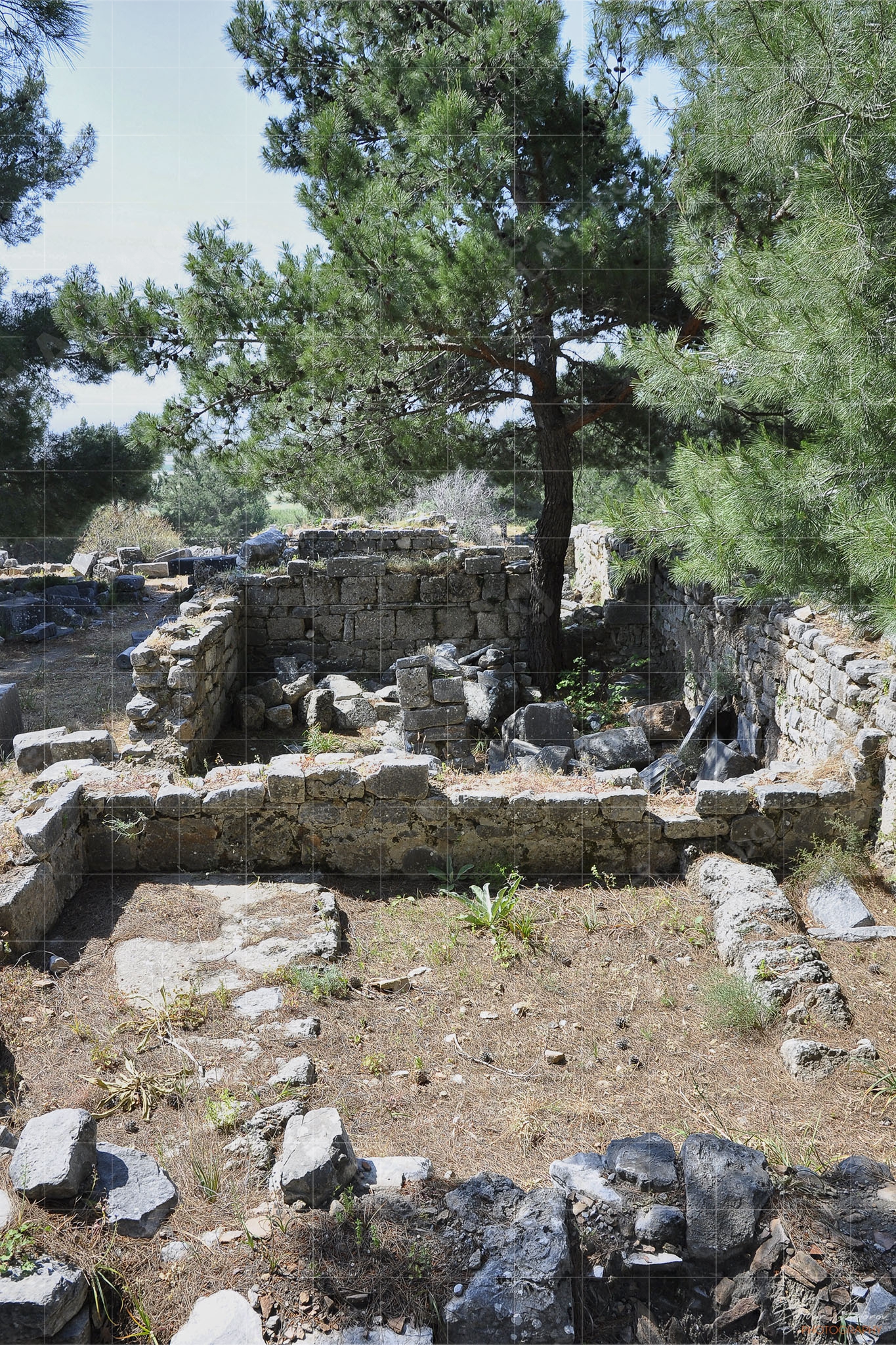 Жилищни помещения в Приене (DSC0829)