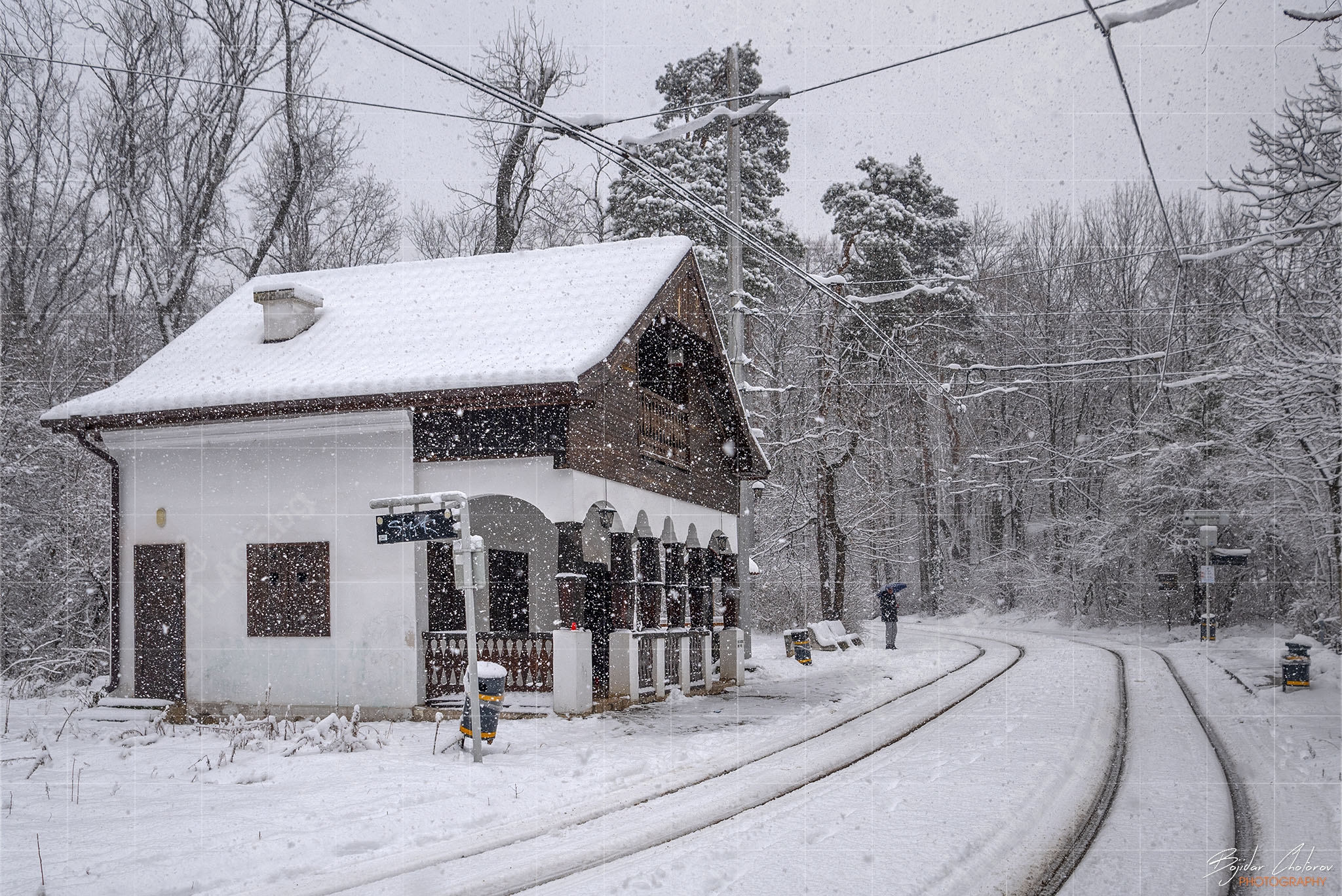 Спирка ул. Вишнева (BCH_0776)