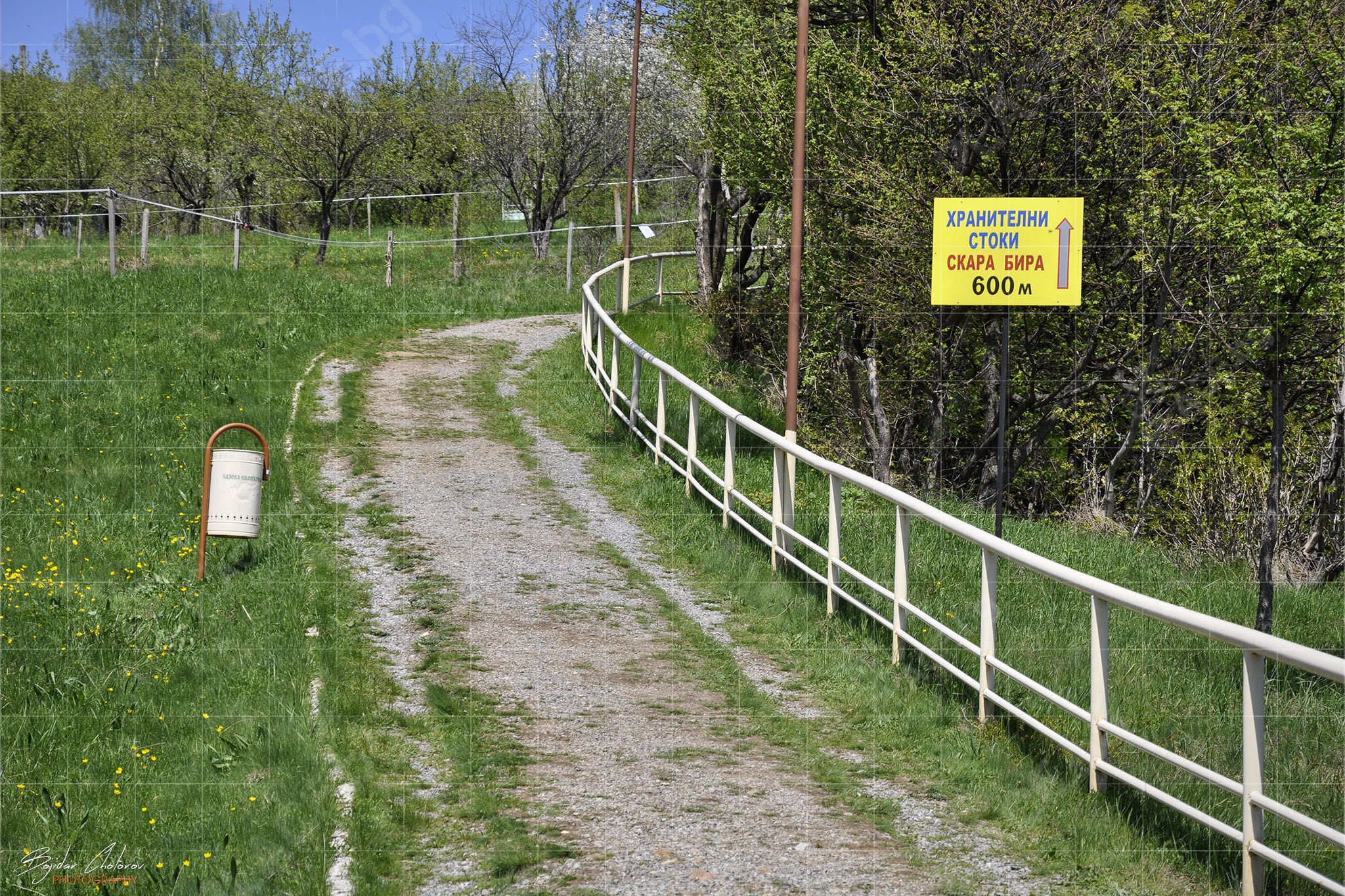 Началото на Вазовата екопътека от към село Заселе (DSC0136)