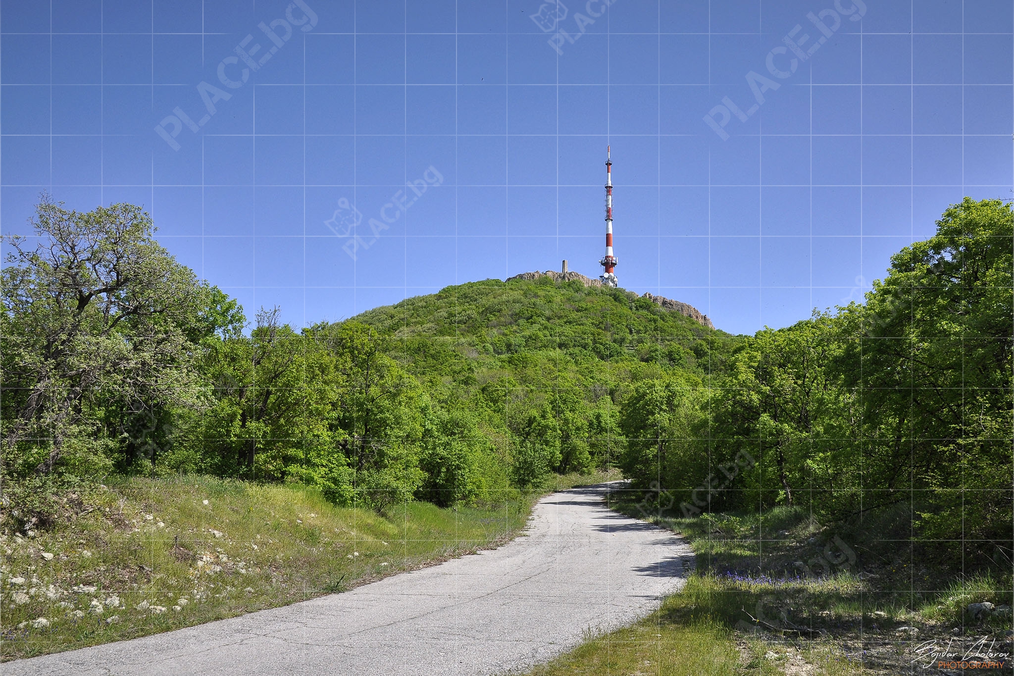 Пътят към връх Шейновец (DSC0507)